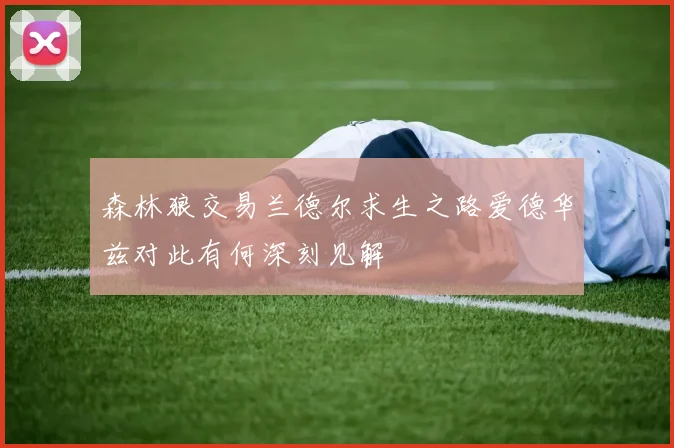 森林狼交易兰德尔求生之路爱德华兹对此有何深刻见解